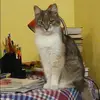 Отзыв от Анфиса Корчагина